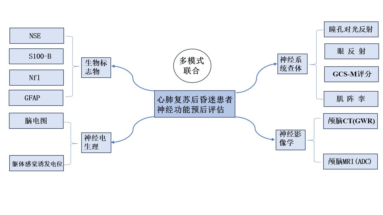 思维导图2.jpg
